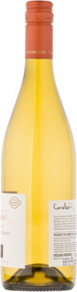 Cameleon Chardonnay, 0,75 L Flasche